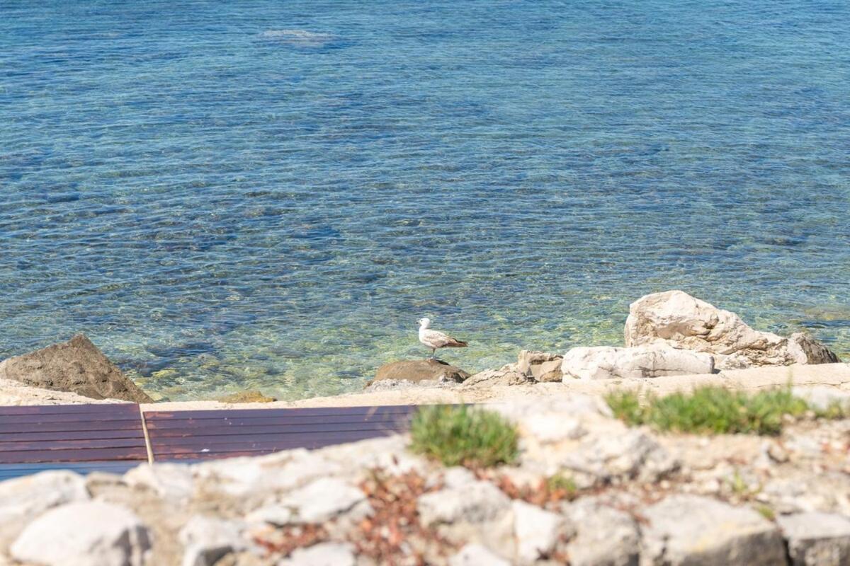 Levant *